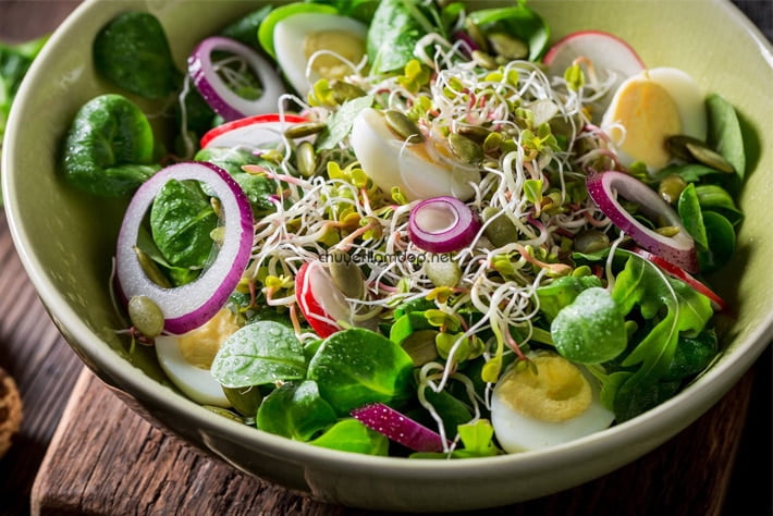 Cách làm salad rau mầm
